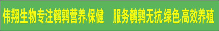 鹌鹑饲料