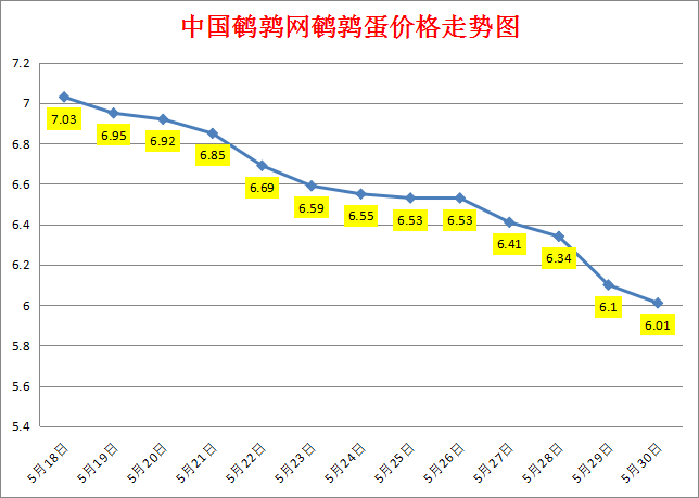 2023.5.30中国鹌鹑网全国鹌鹑蛋价格报价
