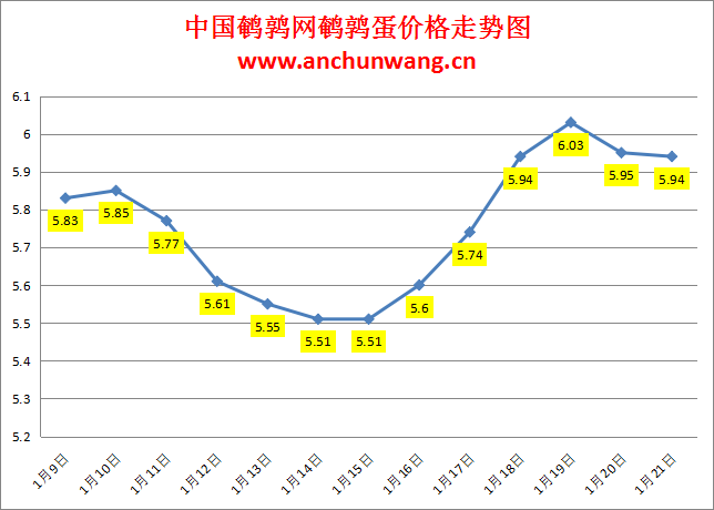 2024.1.21中国鹌鹑网全国鹌鹑蛋价格报价