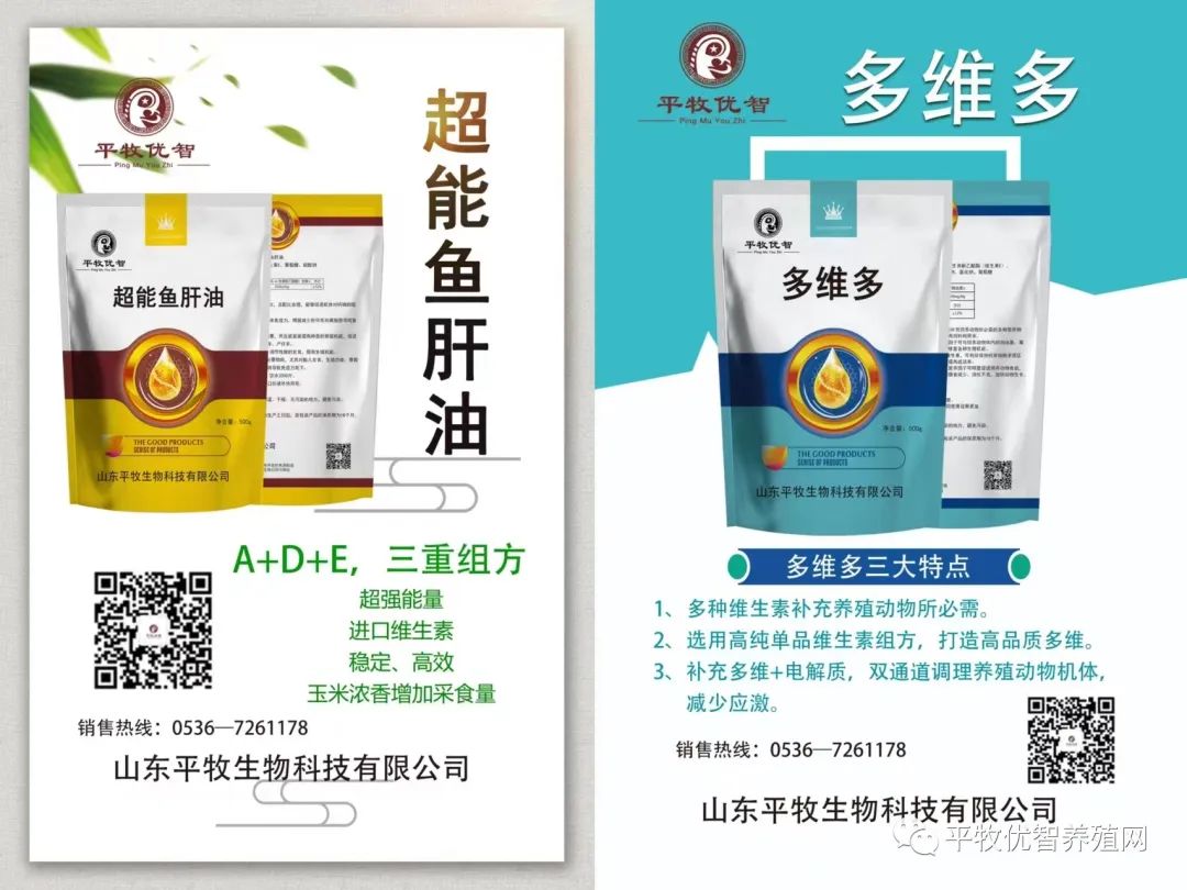 鹌鹑下蛋多的方法
