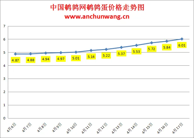 2024.4.17全国鹌鹑蛋价格：疯涨 均价6.01元