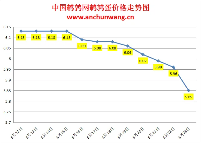 2024.5.23全国鹌鹑蛋价格：多地跌 均价5.85元