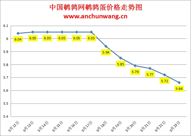 2024.9.23全国鹌鹑蛋价格：均价5.66元，再跌