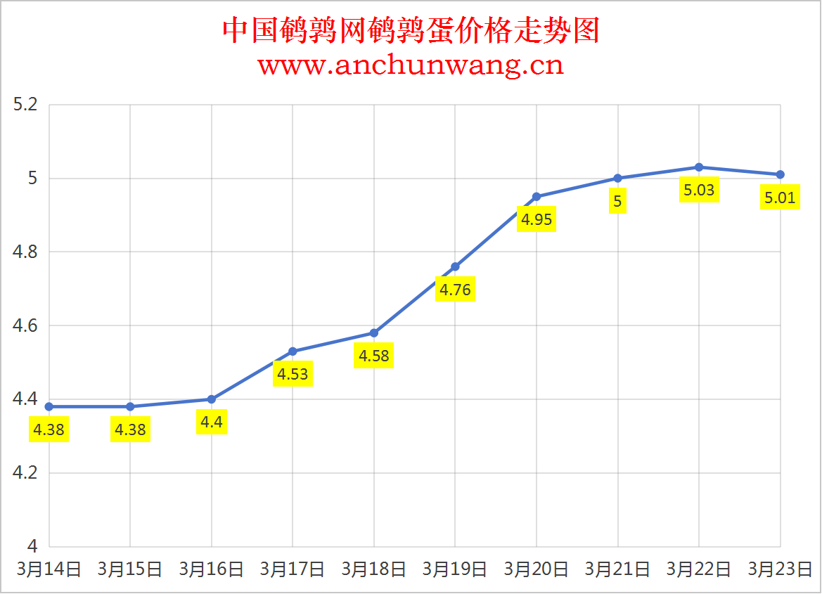 2025.3.23全国鹌鹑蛋价格：均价5.01元 局部跌