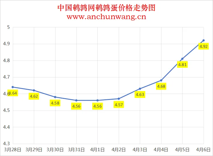 2025年4月6日全国鹌鹑蛋价格：均价4.92元 继续涨