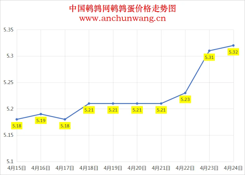 2025年4月24日全国鹌鹑蛋价格：均价5.32元 局部涨
