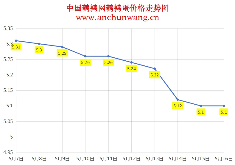 2025年5月17日全国鹌鹑蛋价格：均价5.1元 稳为主