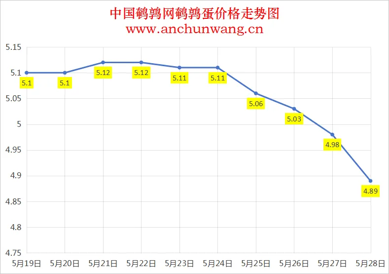 2025年5月28日全国鹌鹑蛋价格：均价4.89元 继续跌