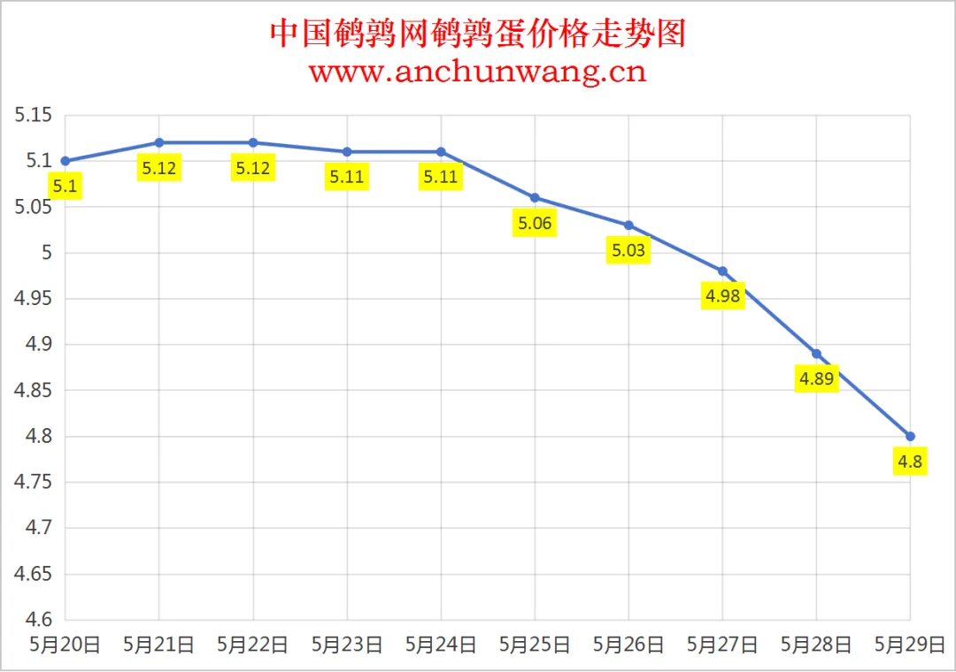 2025年5月29日全国鹌鹑蛋价格：均价4.8元 继续跌