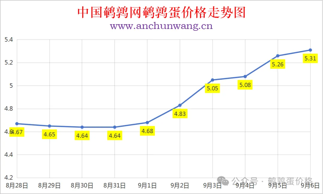 2025年9月6日中国鹌鹑网全国鹌鹑蛋价格涨跌表：均价5.31元 局部涨