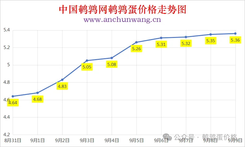 2025年9月9日中国鹌鹑网全国鹌鹑蛋价格涨跌表：均价5.36元 局部涨