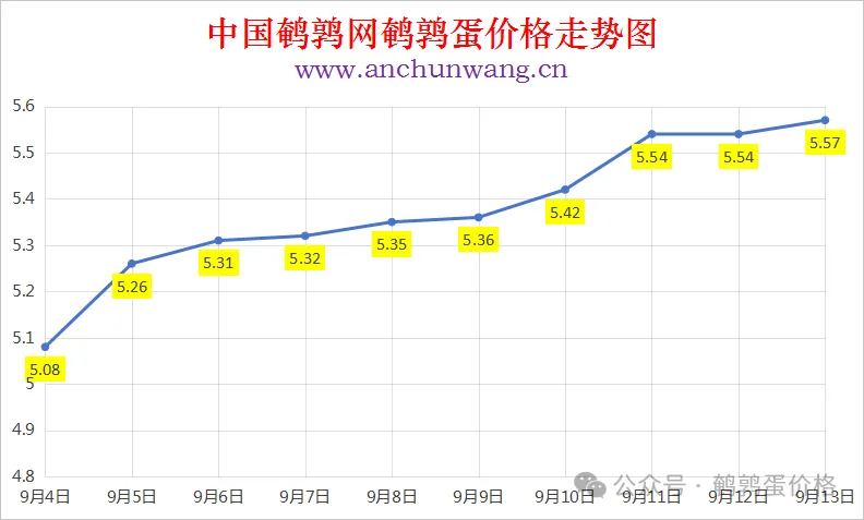 2025年9月13日中国鹌鹑网全国鹌鹑蛋价格涨跌表：均价5.57元 局部涨
