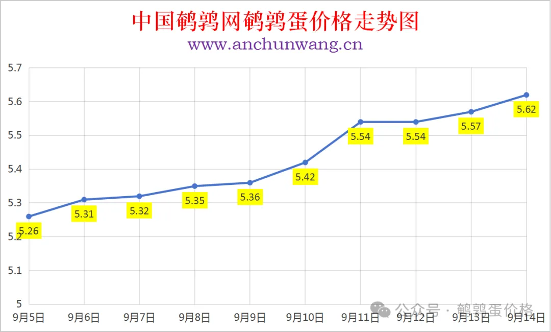 2025年9月14日中国鹌鹑网全国鹌鹑蛋价格涨跌表：均价5.62元 局部涨