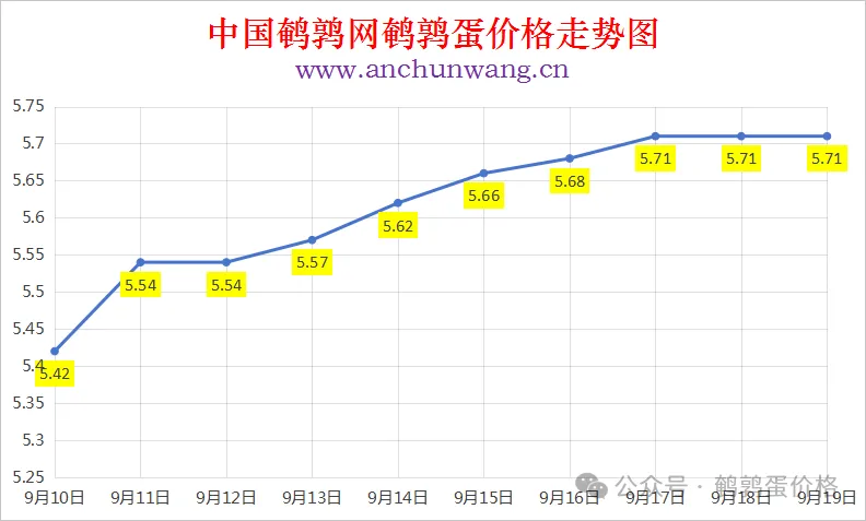 2025年9月19日中国鹌鹑网全国鹌鹑蛋价格涨跌表：均价5.71元