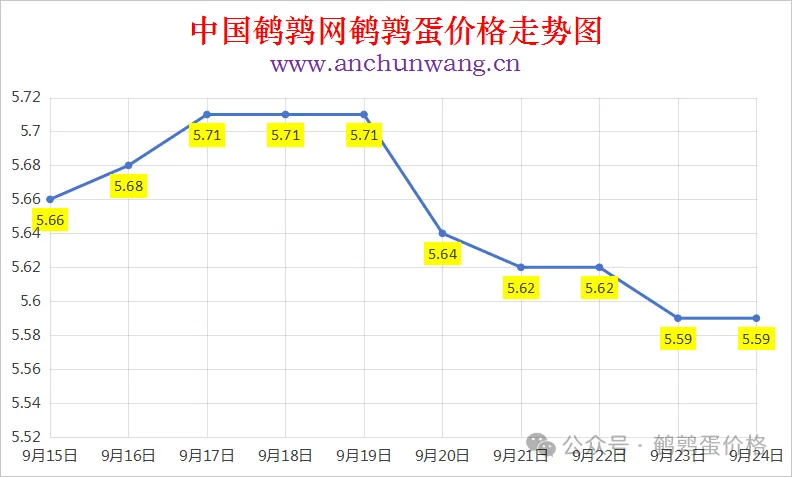 2025年9月24日中国鹌鹑网全国鹌鹑蛋价格涨跌表：均价5.59元