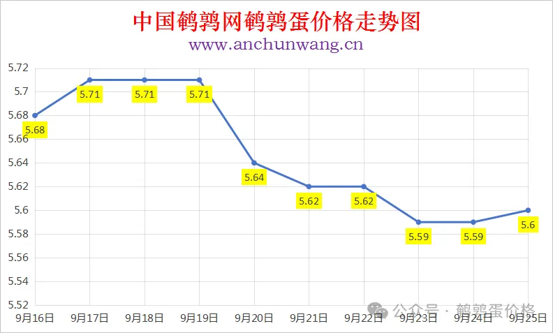 2025年9月25日中国鹌鹑网全国鹌鹑蛋价格涨跌表：均价5.6元 个别涨