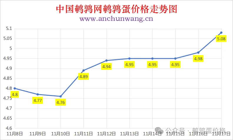 2025年11月17日全国鹌鹑蛋价格涨跌表：均价5.08元 大范围上涨